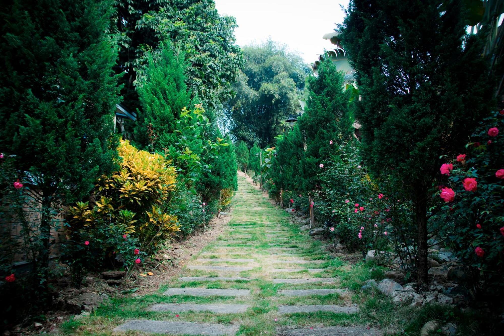 Sapphire Hill Ở trang trại Hà Nội