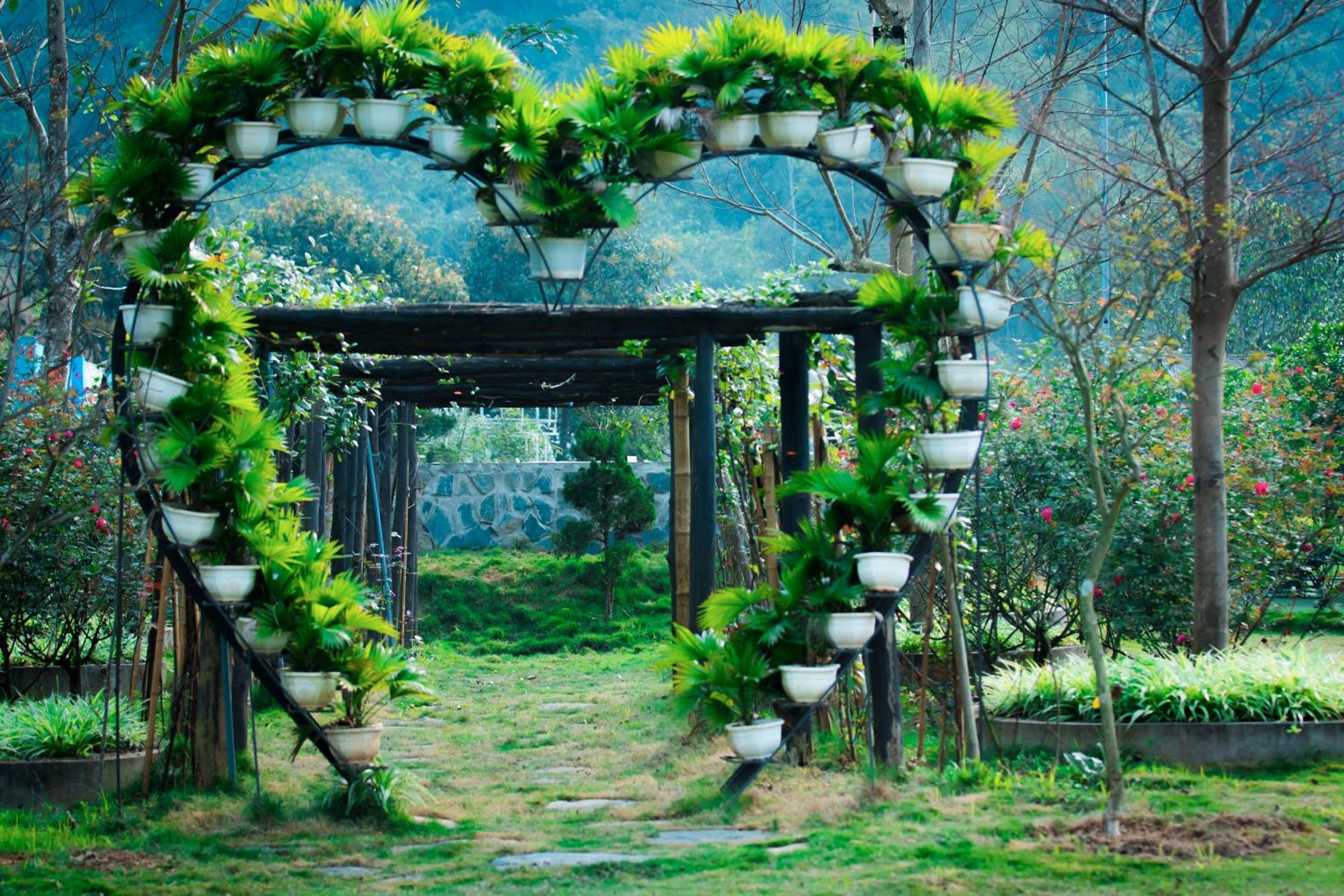 Sapphire Hill *